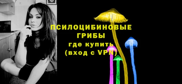 гидра Абаза