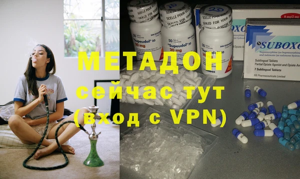 гидра Абаза