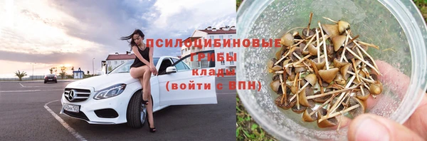 гидра Абаза